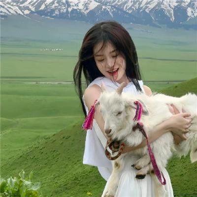 金装律师第六季