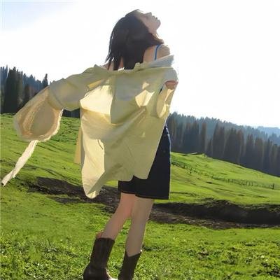 抵挡计划